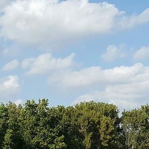 Meet your Posher, Esther