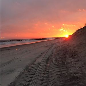 Meet your Posher, Maddie