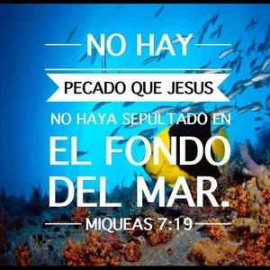 Meet your Posher, Evelyn