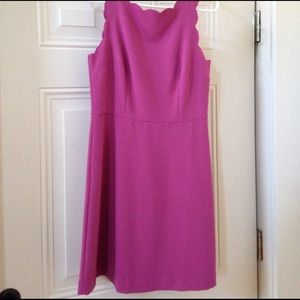 Loft Scalloped Dress Size 4