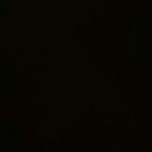 Meet your Posher, Sophia