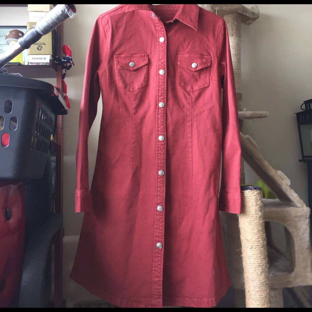 alexa chung for AG shirt dress