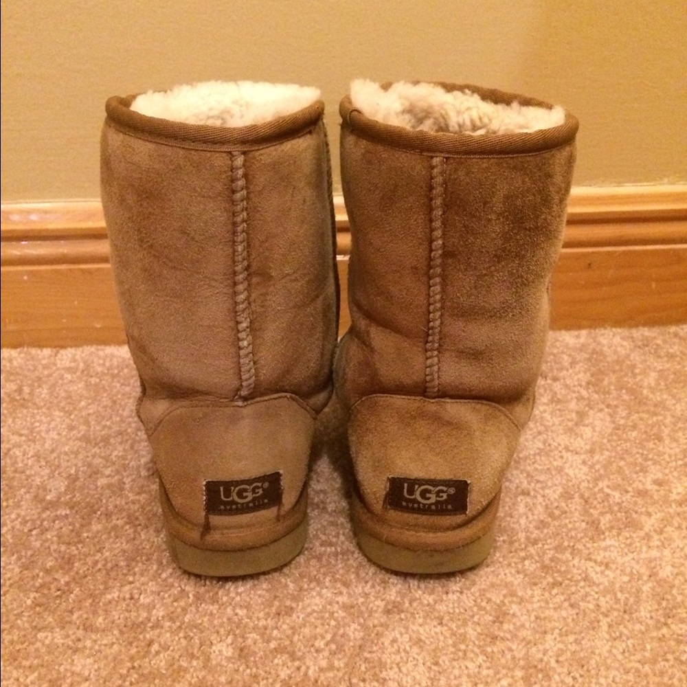 Ugg Classic Short in Chesnut