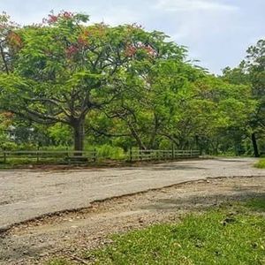 Meet your Posher, Cing