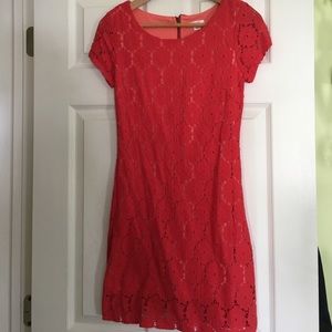 Short Sleeve Lace Dress