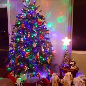 Meet your Posher, Darbie