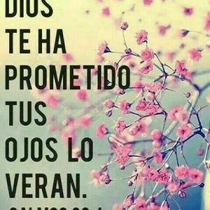 Meet your Posher, Silvia