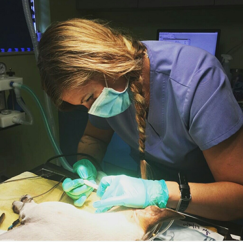 Meet your Posher, Bonnie - Picture 2 of 3