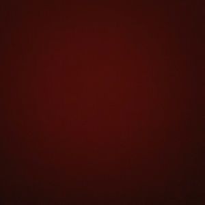 Meet your Posher, Gavin