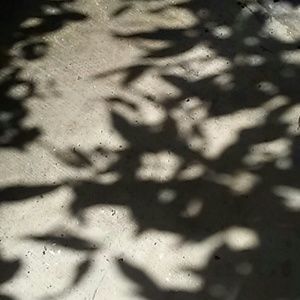 Meet your Posher, Britt