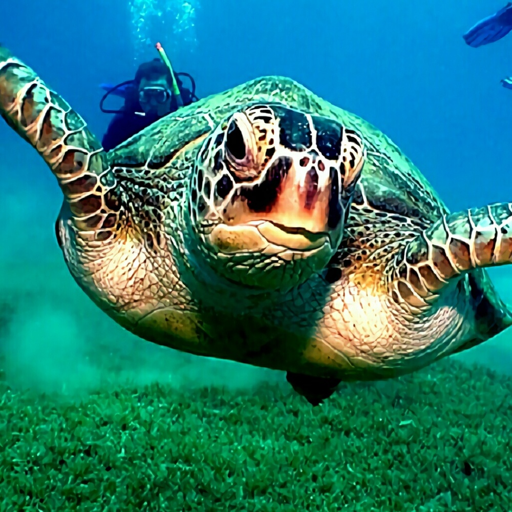 Meet your Posher, Brittany