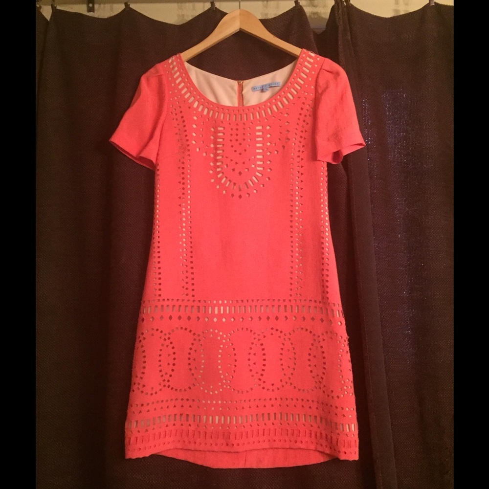 Antonio Melani Coral/ Nude Sheath Dress!