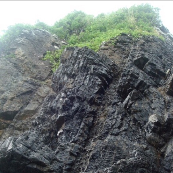 Meet your Posher, Rose - Picture 6 of 7