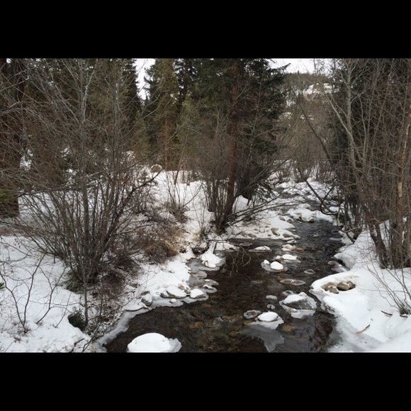 Meet your Posher, Rose - Picture 5 of 7