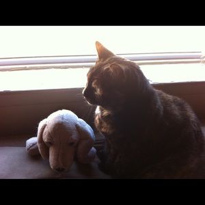 Meet your Posher, Lisa