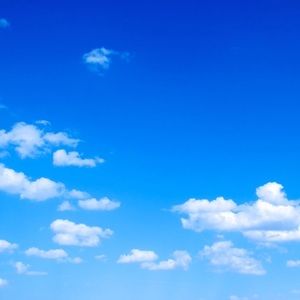 Meet your Posher, Maggie