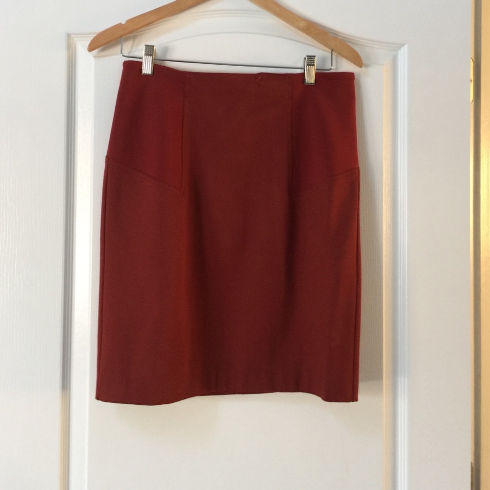Rust pencil skirt with panels