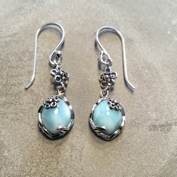 Jewelry - Detailed Blue Stone & SS drop earring