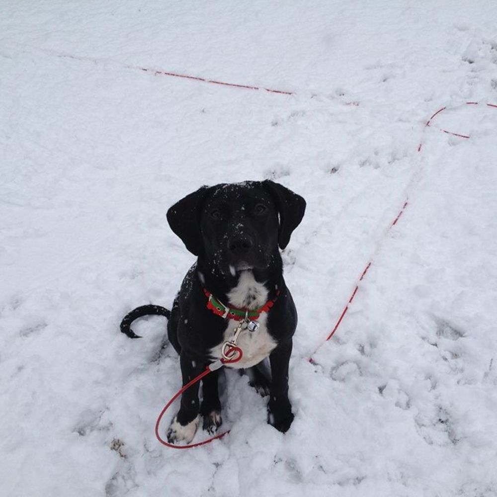 Meet your Posher, Jeanne