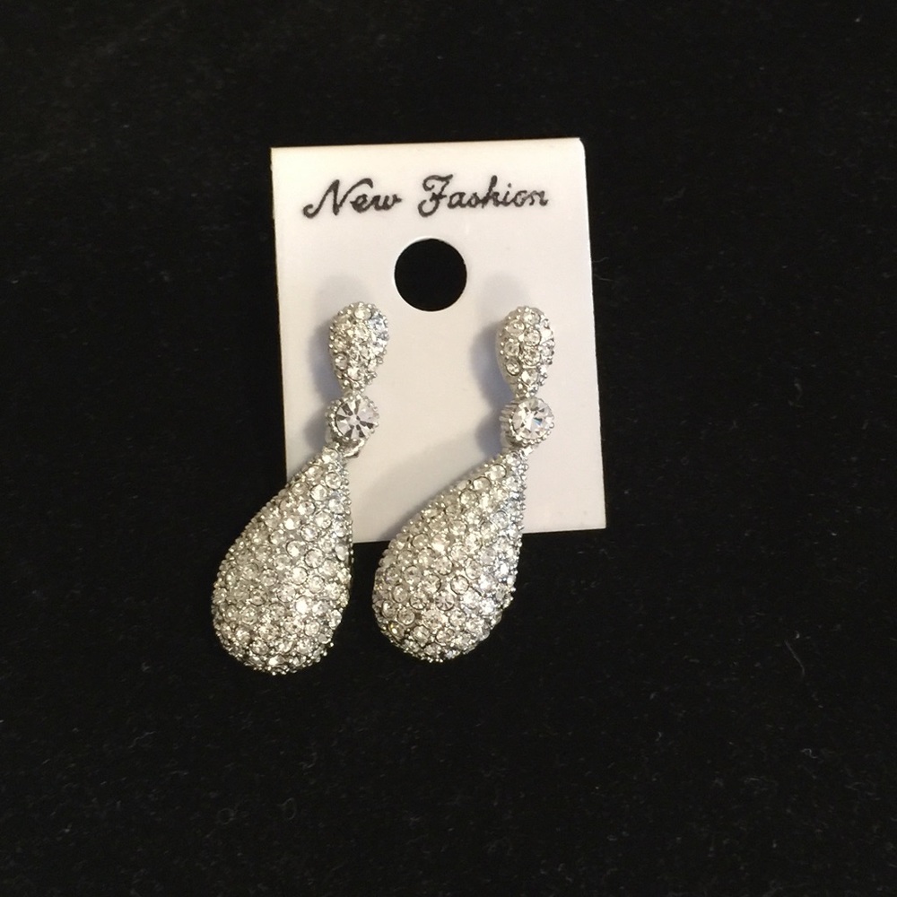 Beautiful shining earrings