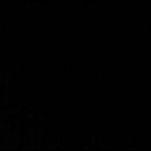 Meet your Posher, Kenisha