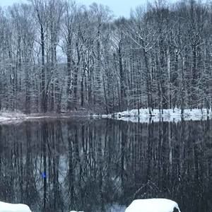 Meet your Posher, Patty