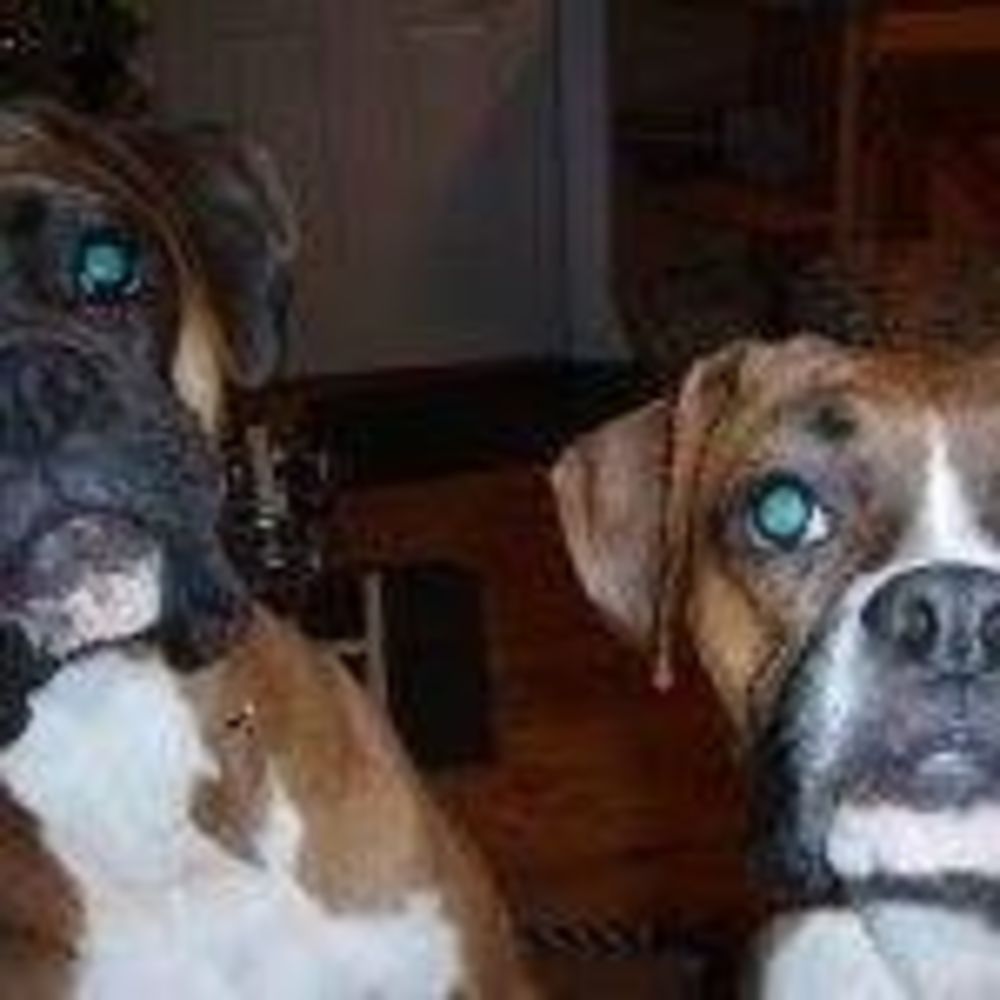 Meet your Posher, Loretta