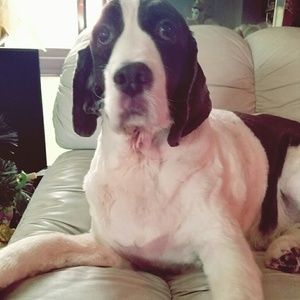 Meet your Posher, Holli