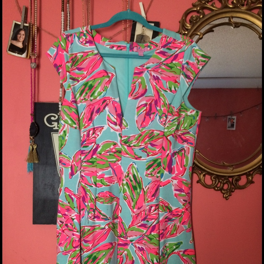 Lilly Pulitzer Briella dress