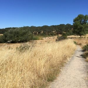 Meet your Posher, Suzanne