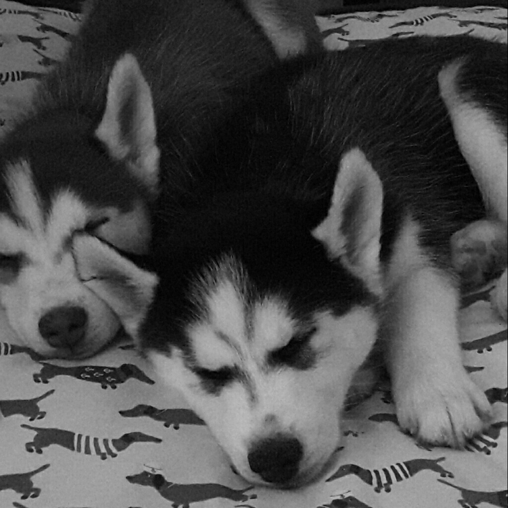 Meet your Posher, Jacynth