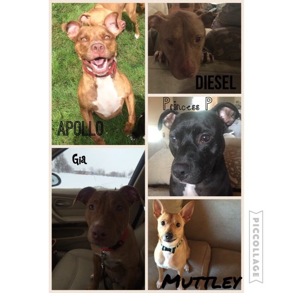 Meet your Posher, Katie :) - Picture 3 of 4