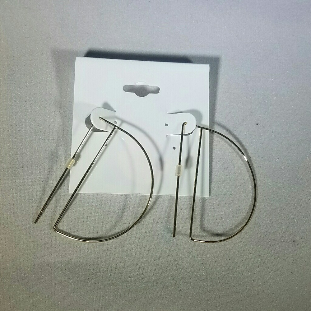 Earrings NWOT