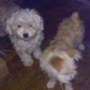 Meet your Posher, Ajay