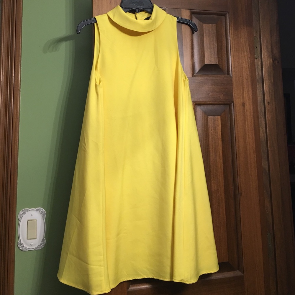 Lulus Swing dress that was worn only once!