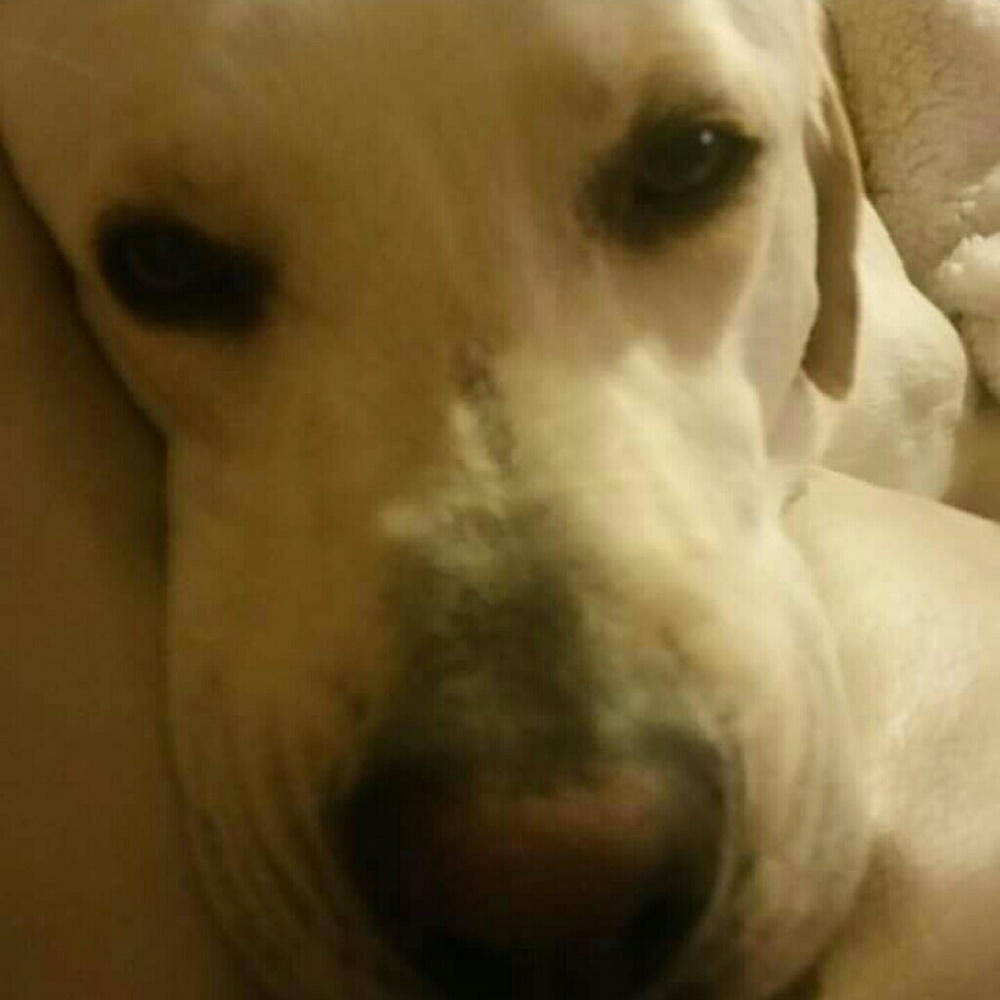 Meet your Posher, Natalie