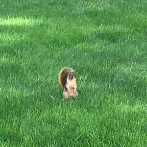 Meet your Posher, Tianyi