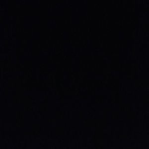 Meet your Posher, Dani