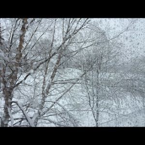 Meet your Posher, Myrlene