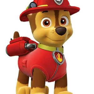 Meet your Posher, Karol