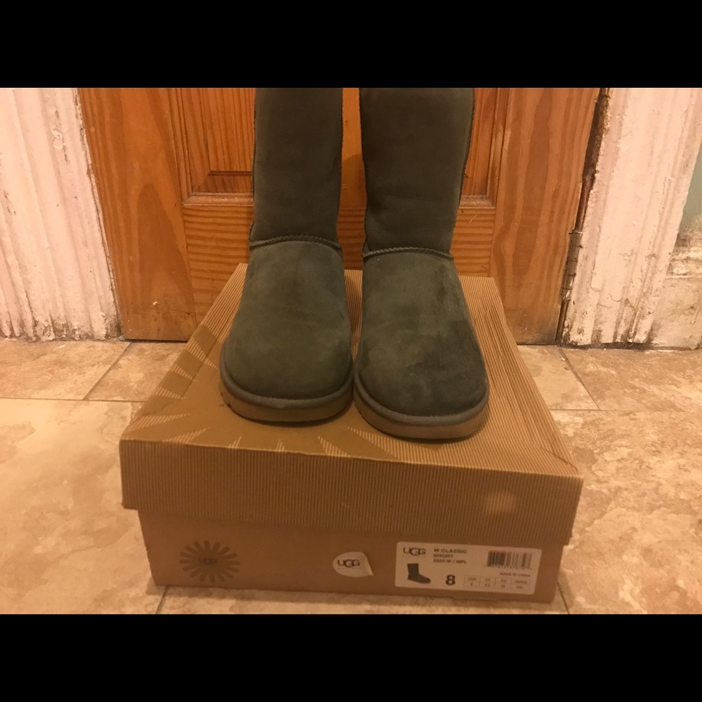 Olive green uggs size8