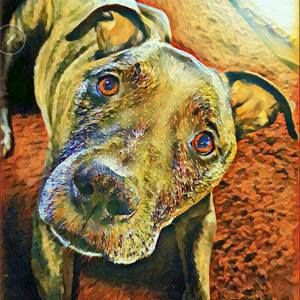 Meet your Posher, Sandie