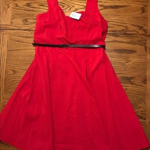 Torrid pin up style dress