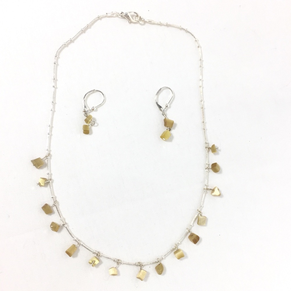 Tiger Eye Beaded Silver Necklace and Earrings