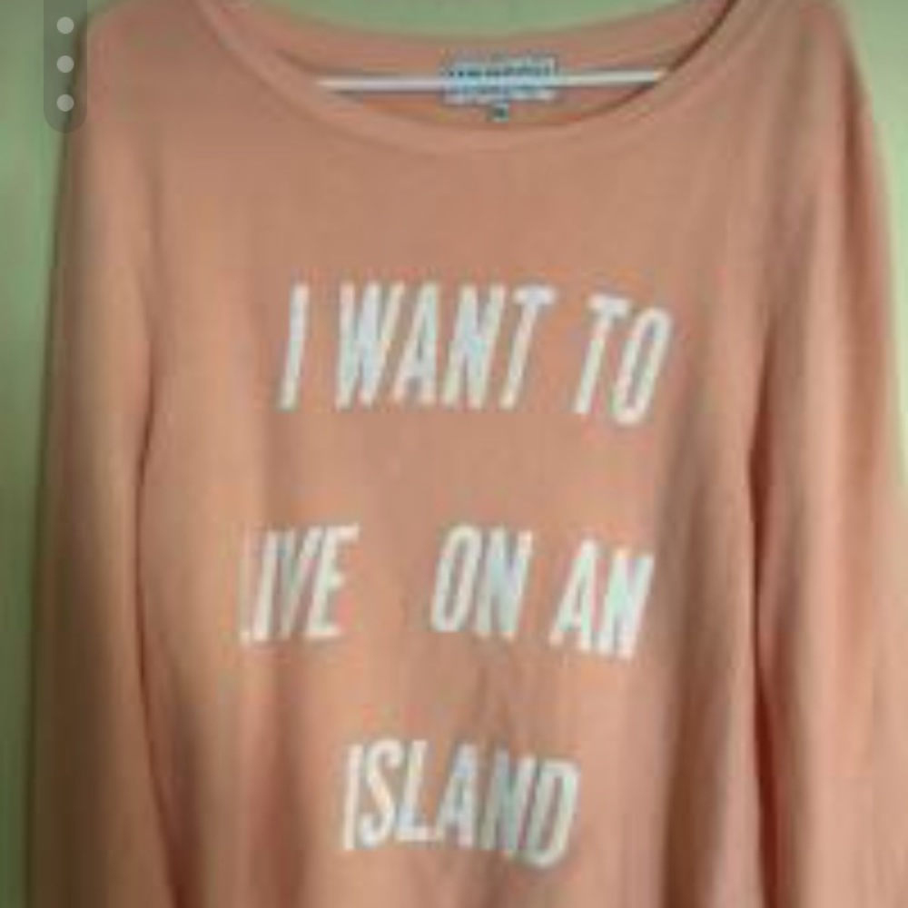 Wildfox sweatshirt size small