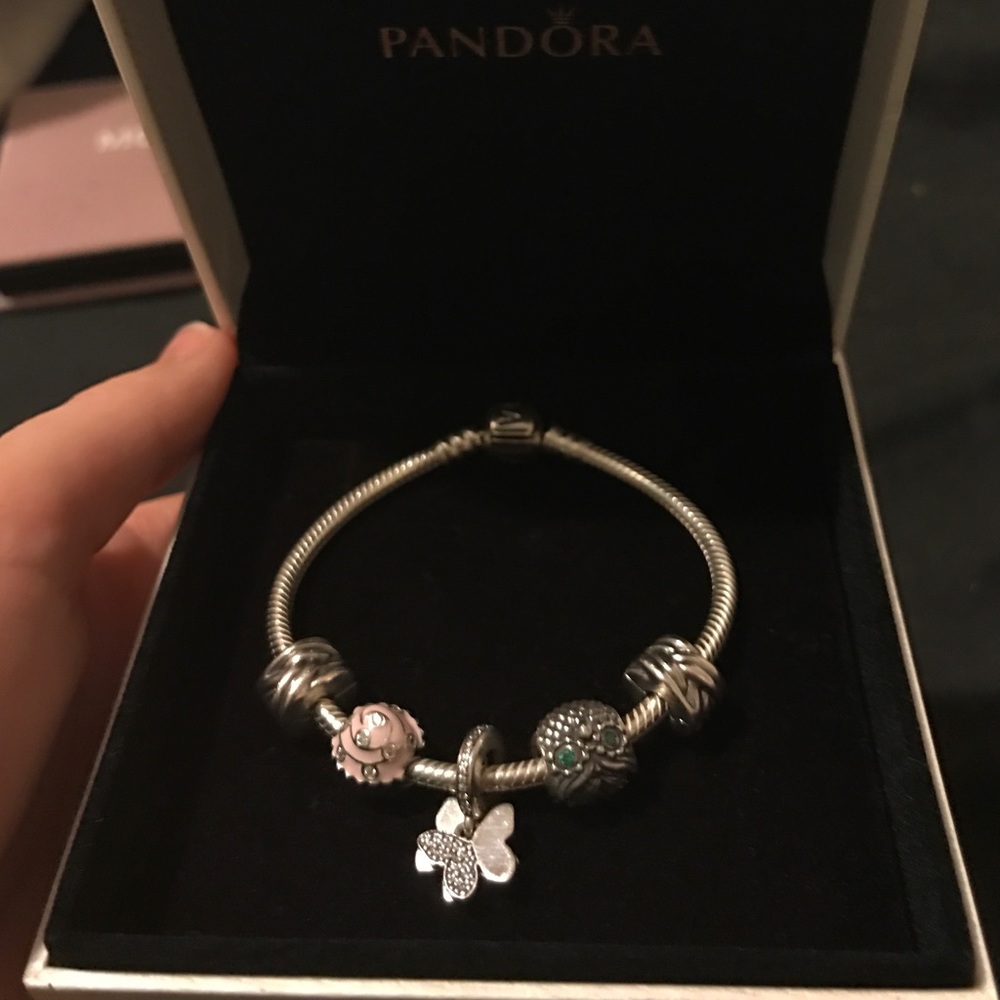 Brand new pandora charm bracelet