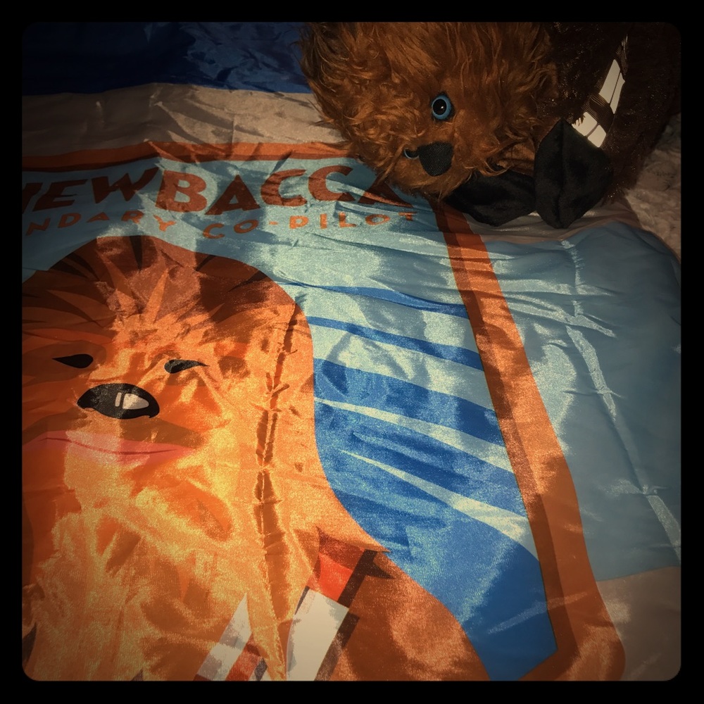 Kids Chewbacca pillow and sleeping bag set