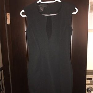 Stretch/Bodycon Dress