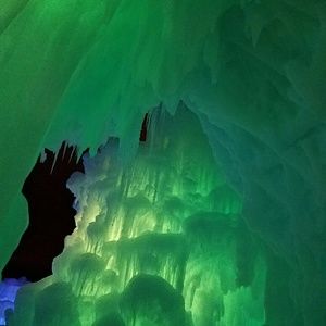 Meet your Posher, Sydney