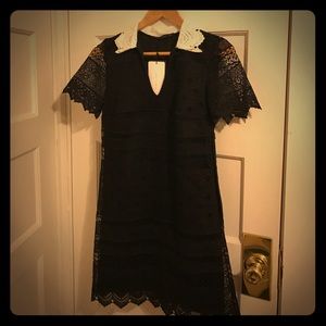 Zara black lace dress with white collar